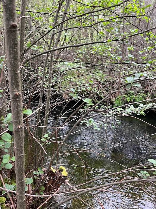 Terreno Rustico a beira da Ribeira na Serra da Estrela