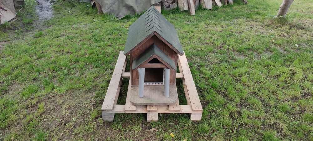 Buda dla średniego psa