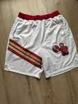 Reebok Above The Rim Asphalt War Games 1993 mesh basketball shorts L