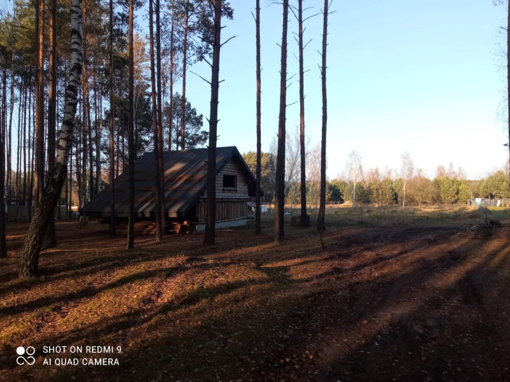 Wyjątkowa działka z dostępem do lini brzegowej , Zalew Sulejowski