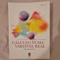 Livros ISTpress- Exercícios de Química Orgânica,CÁLCULO NUMA VARIÁVEL