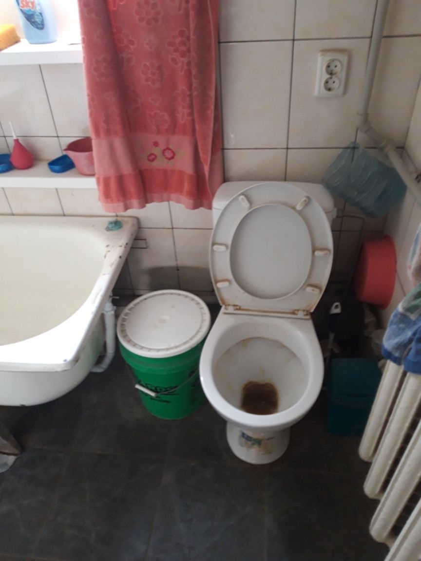 Продаётся домовладение, два дома, гараж, большой земельный участок