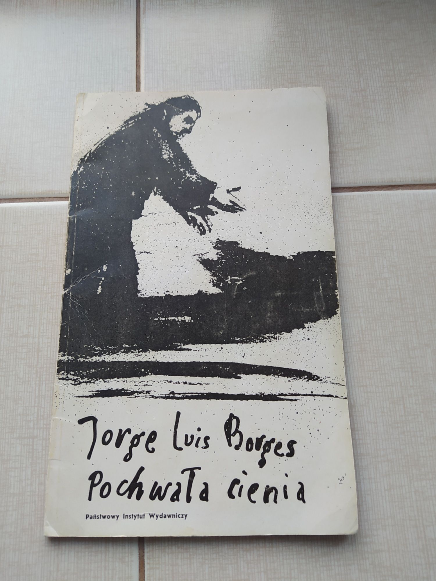 Borges - Pochwała cienia