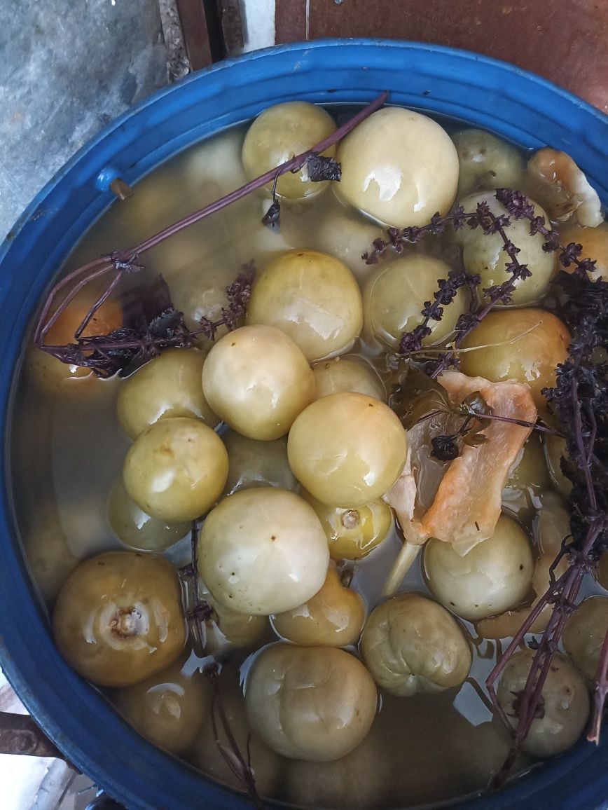 Продам овощи и соленья та квашенья