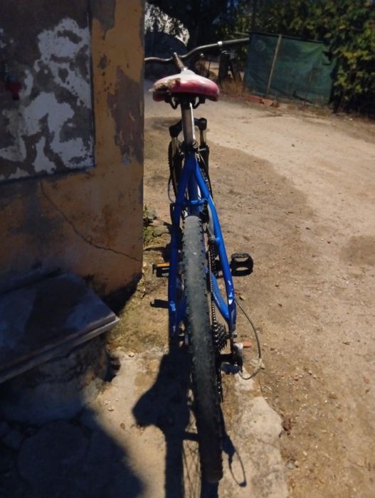 Scott REFPEX 60 geograf