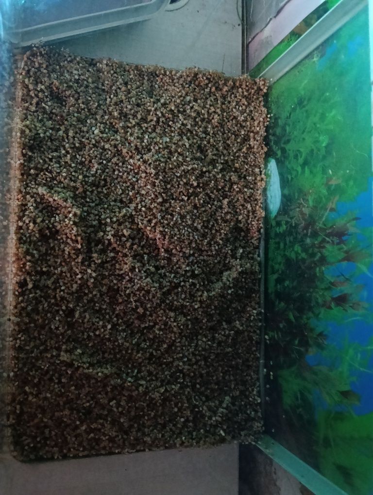 Akwarium 30 litrów