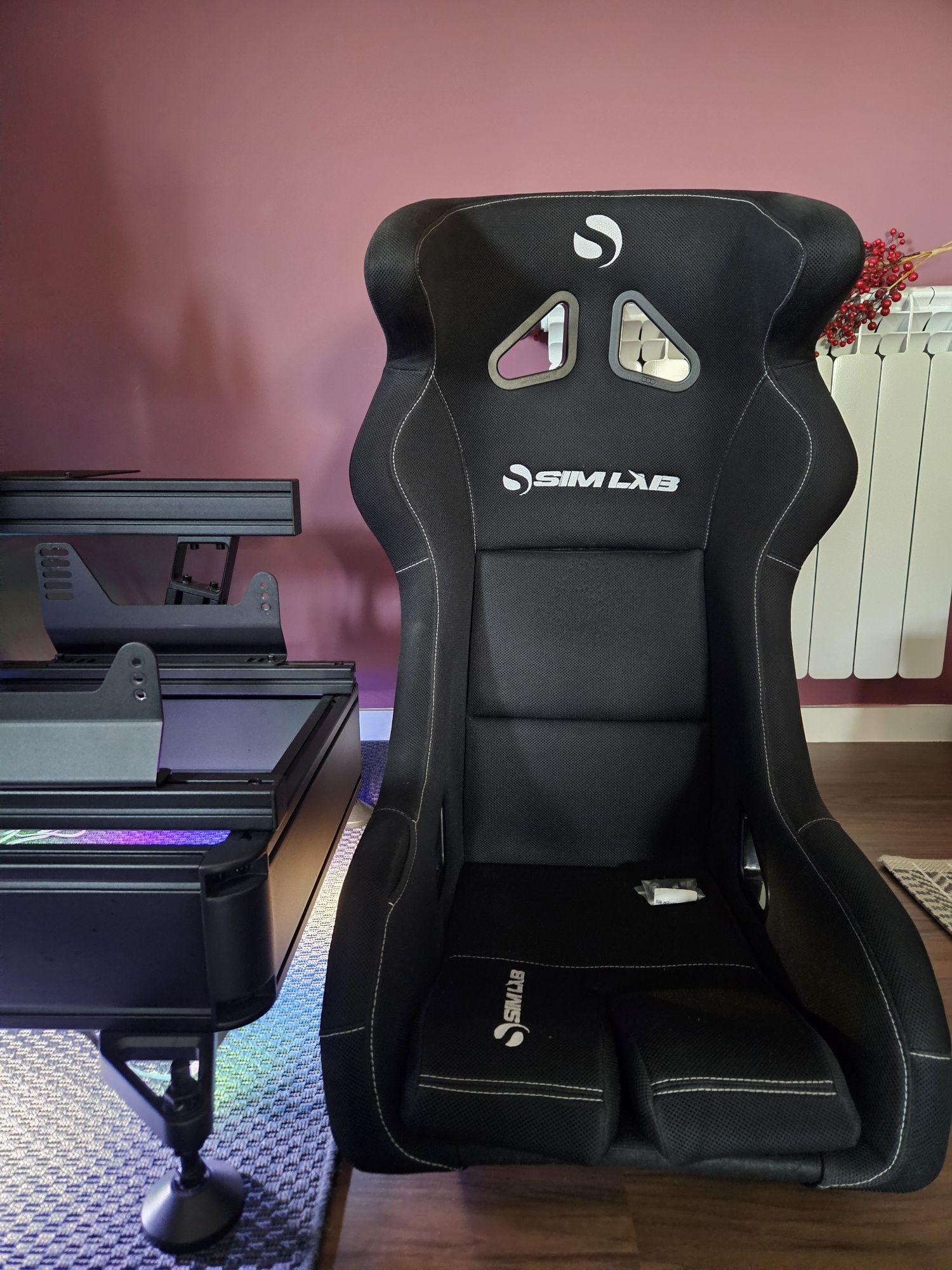 Simlab P1X Front Mount + extras