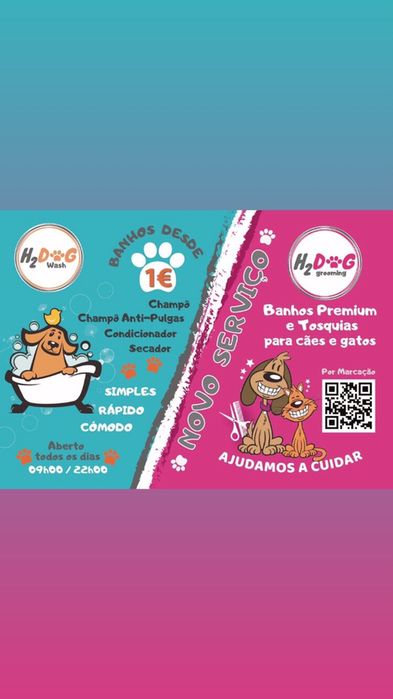 Dog Walking | Pet Sitting | Passear cães | Dogwalker | Almada