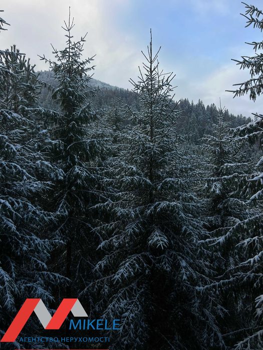 Оренда Котеджу Будинок від2 до 7 осіб с.Татарів Карпати Буковель 10 км