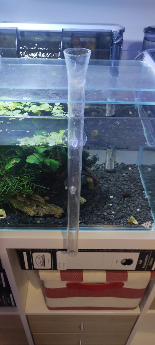 Alimentador de vidro para aquário