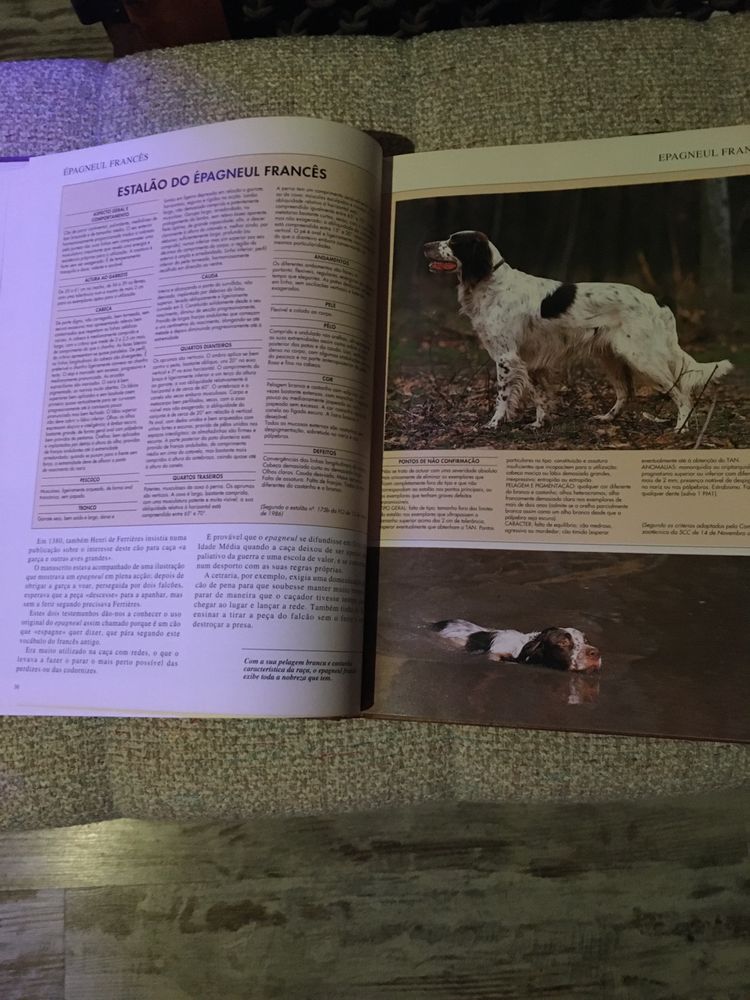 Livros sobre Cães