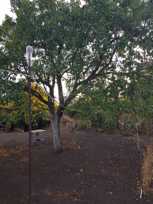 Продаётся дом у моря, пригород Черноморска.