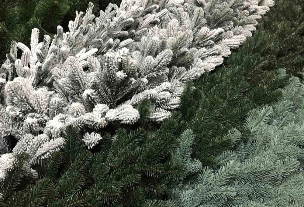 Гірлянда з литої хвої Ковалівська та Віденська  Зелена, блакитна опт