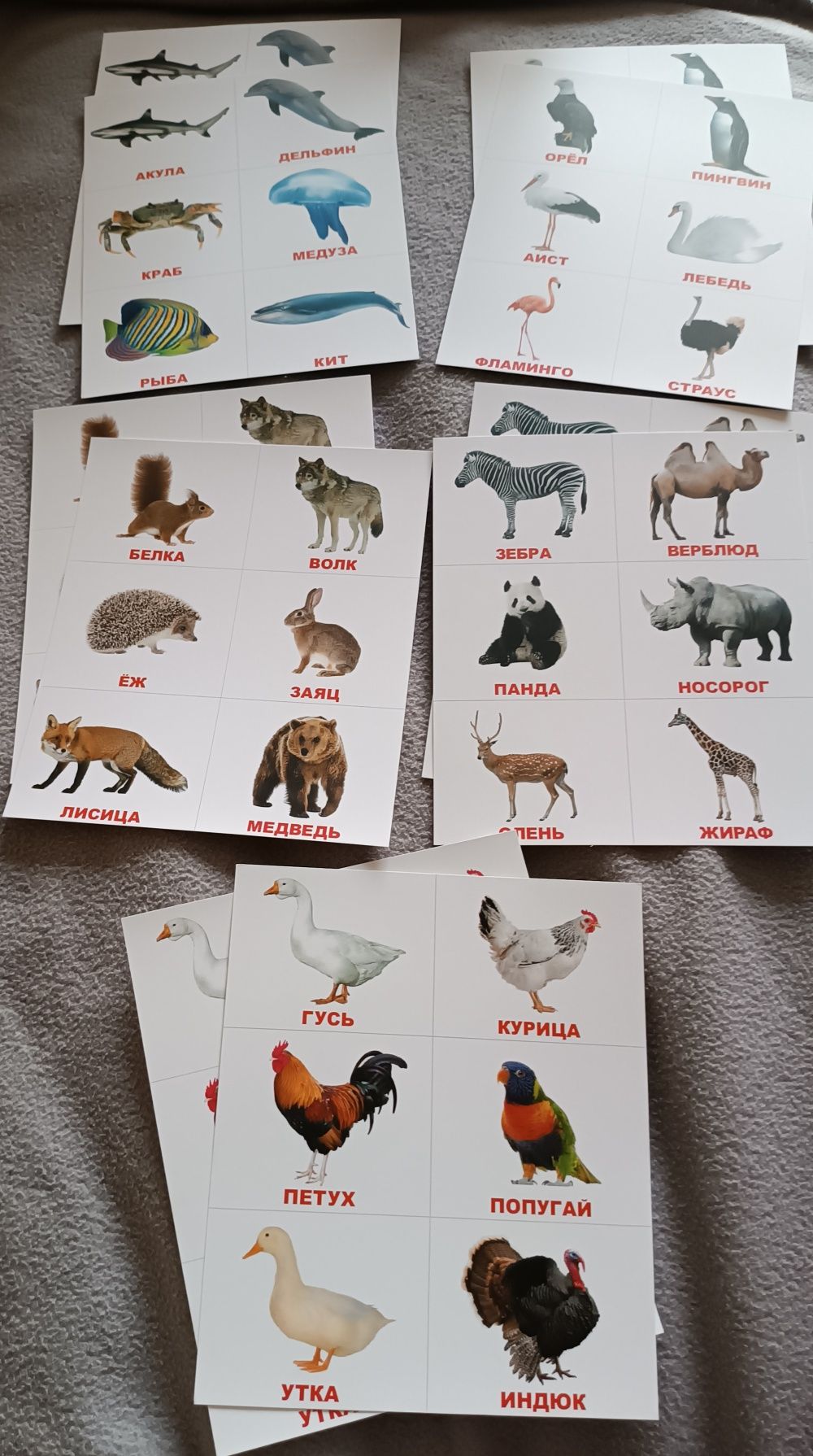 Набор больших карточек Домана Лото Животные, Вундеркинд с Пеленок