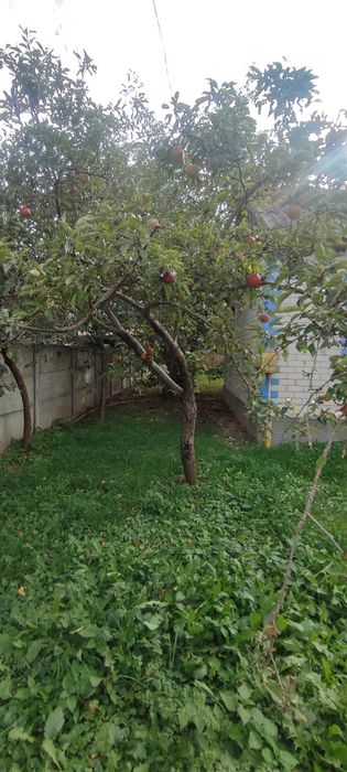 Продається будинок 15 км від Чернігова