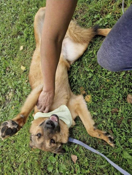 Słodziak ok. 5-letni