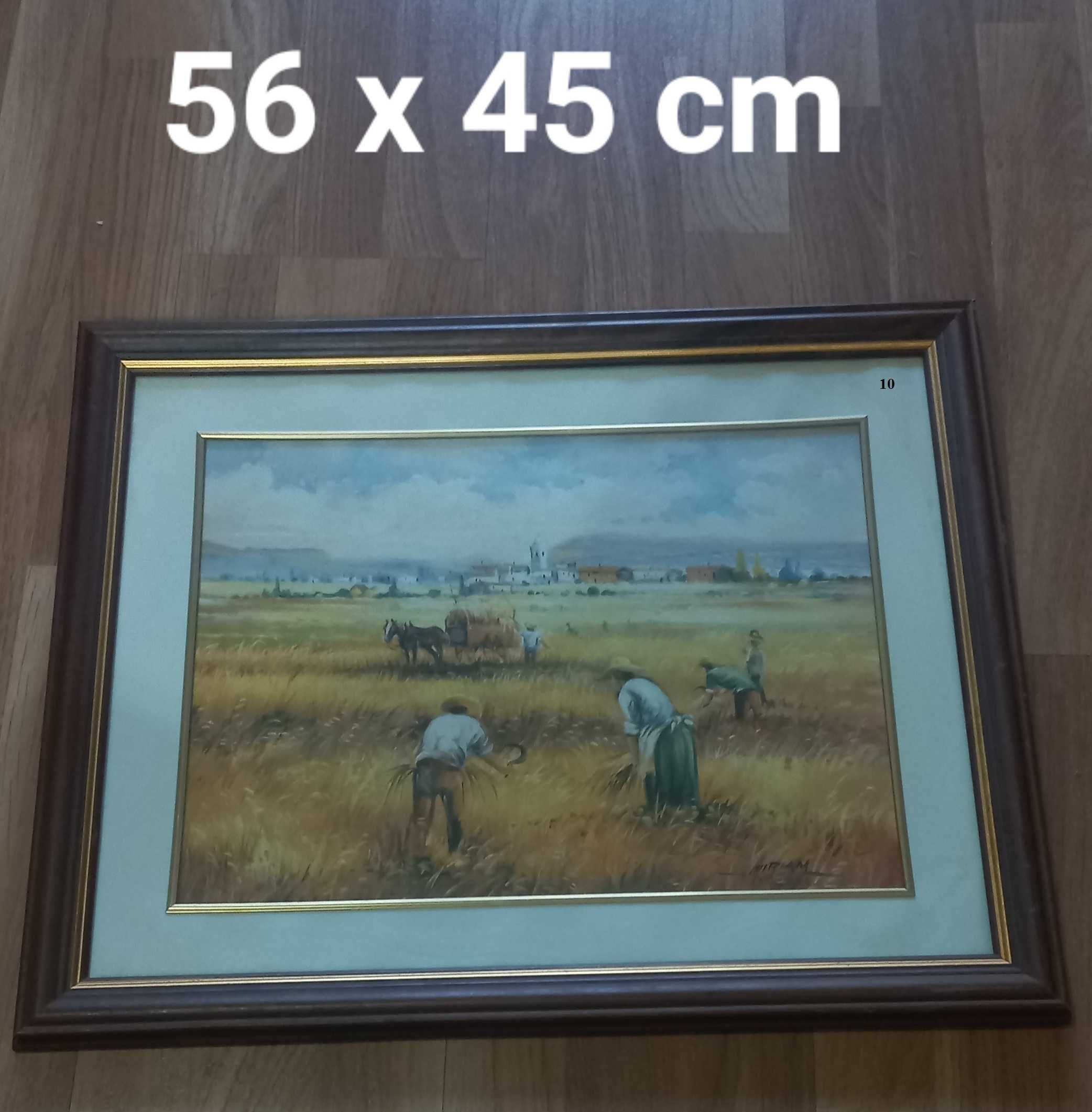 Quadros de decoração de Casa