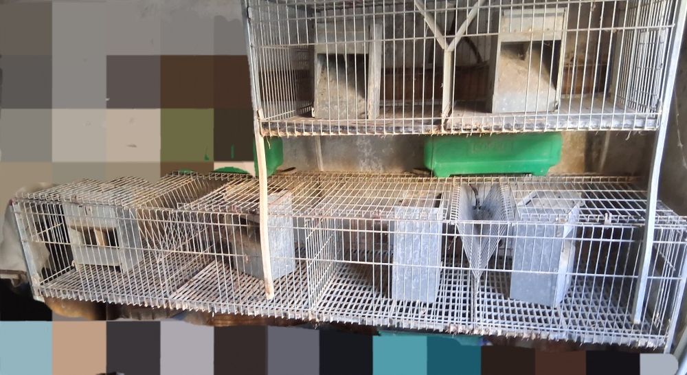 Jaulas de coelhos