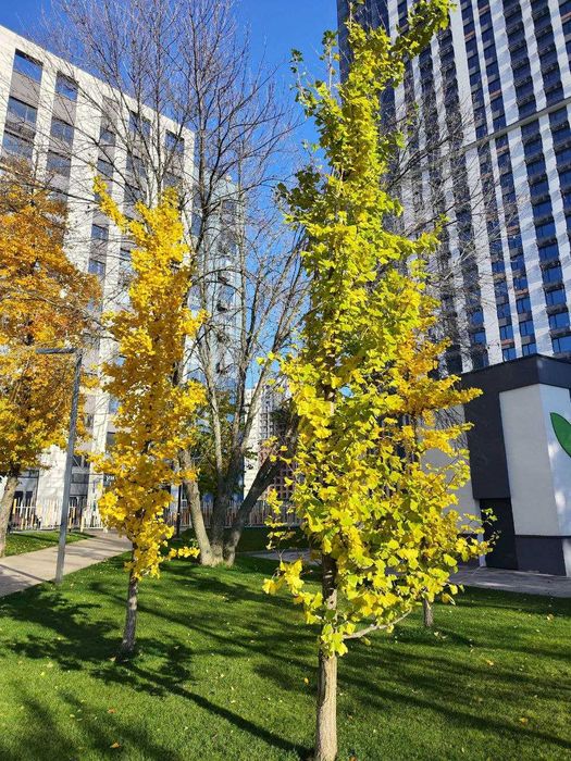 продадам квартиру поруч метро Теремки