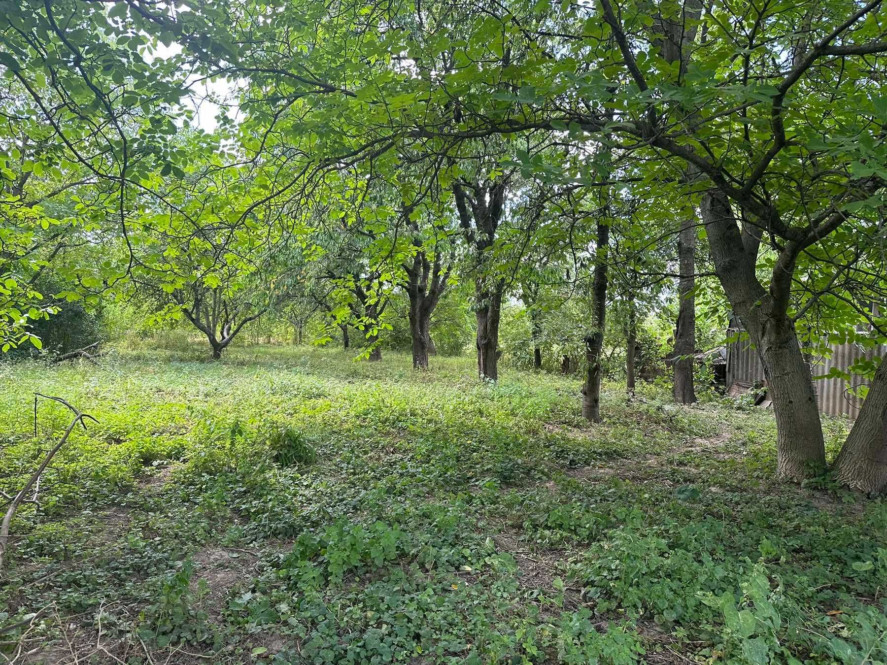 (7) Продам земельну ділянку в селі Тютьки 0102