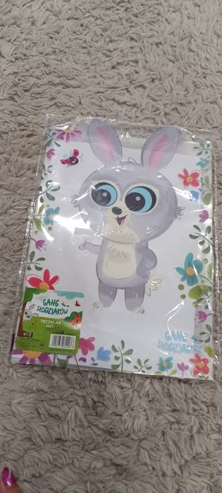 Zestaw 2 teczek a4 gang słodzików