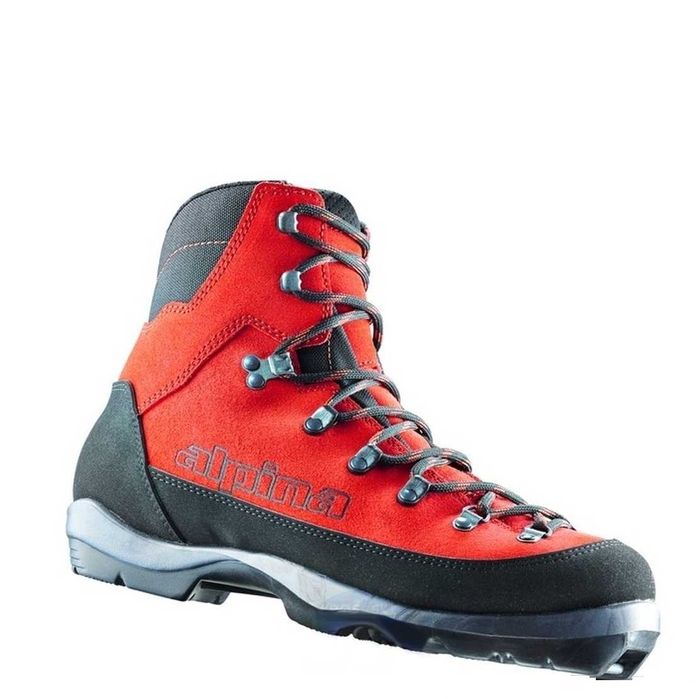 narty ASNES TONJE BC backcountry 2024/2025+buty Alpina Wyoming rocker