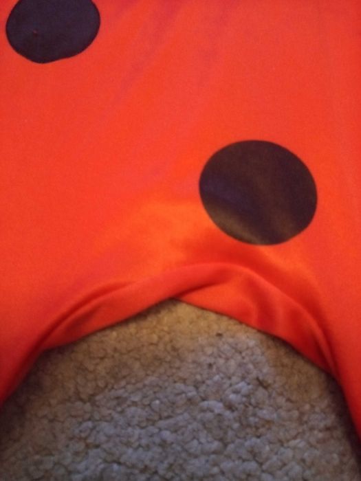 Kostium Biedronki na wiek 4-5 lat