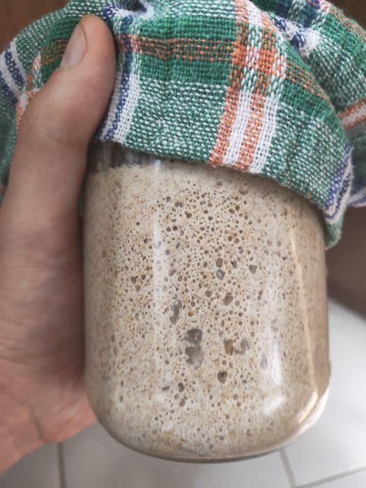 Zakwas chlebowy z żyta krzyca, 200g