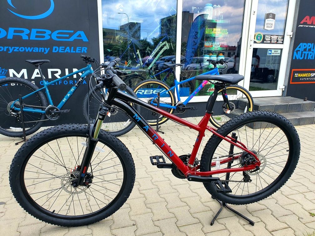 Rower Górski Wildcat Trail 1 29  - Active Zone Bike World