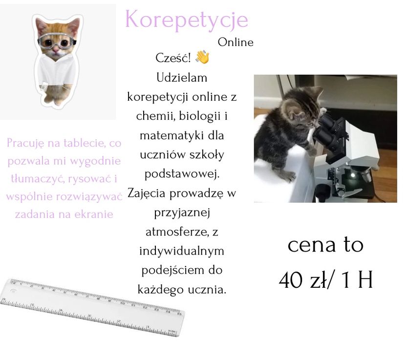 Korepetycje matematyka, biologia i chemia szkoła podstawowa