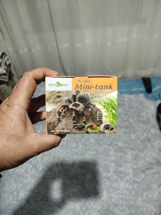 Mini terrário em Acrílico