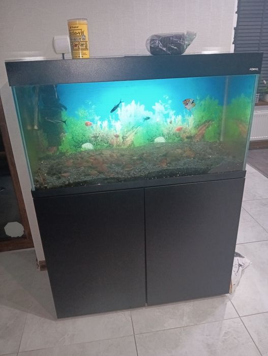 Akwarium komplet z całym wyposażeniem