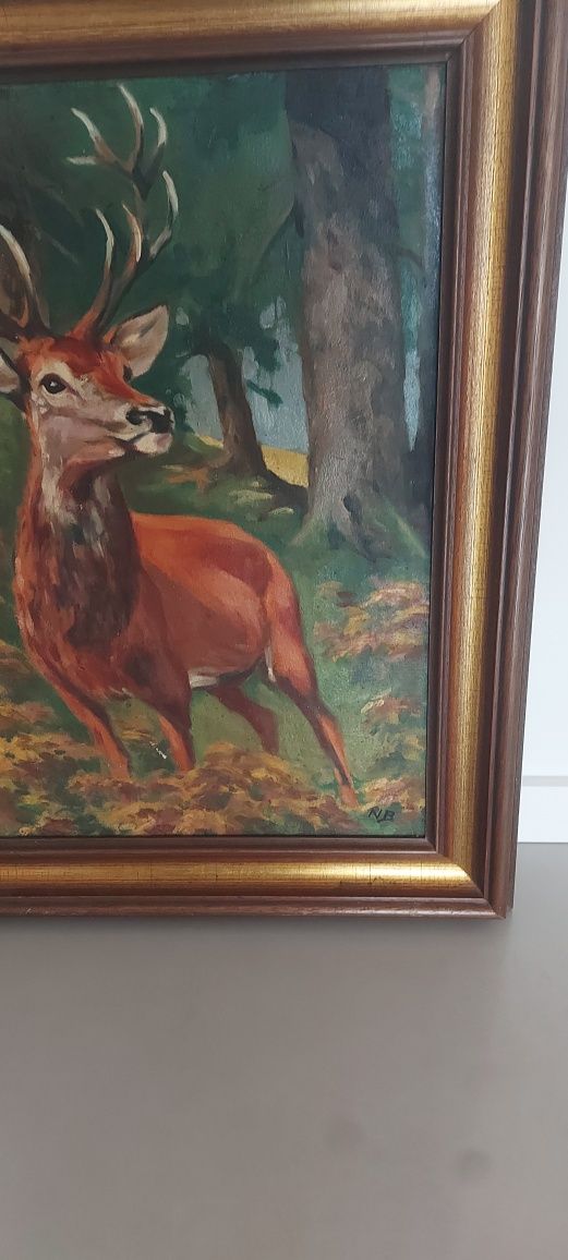 Obraz na płótnie Jelen szlachetny piękny