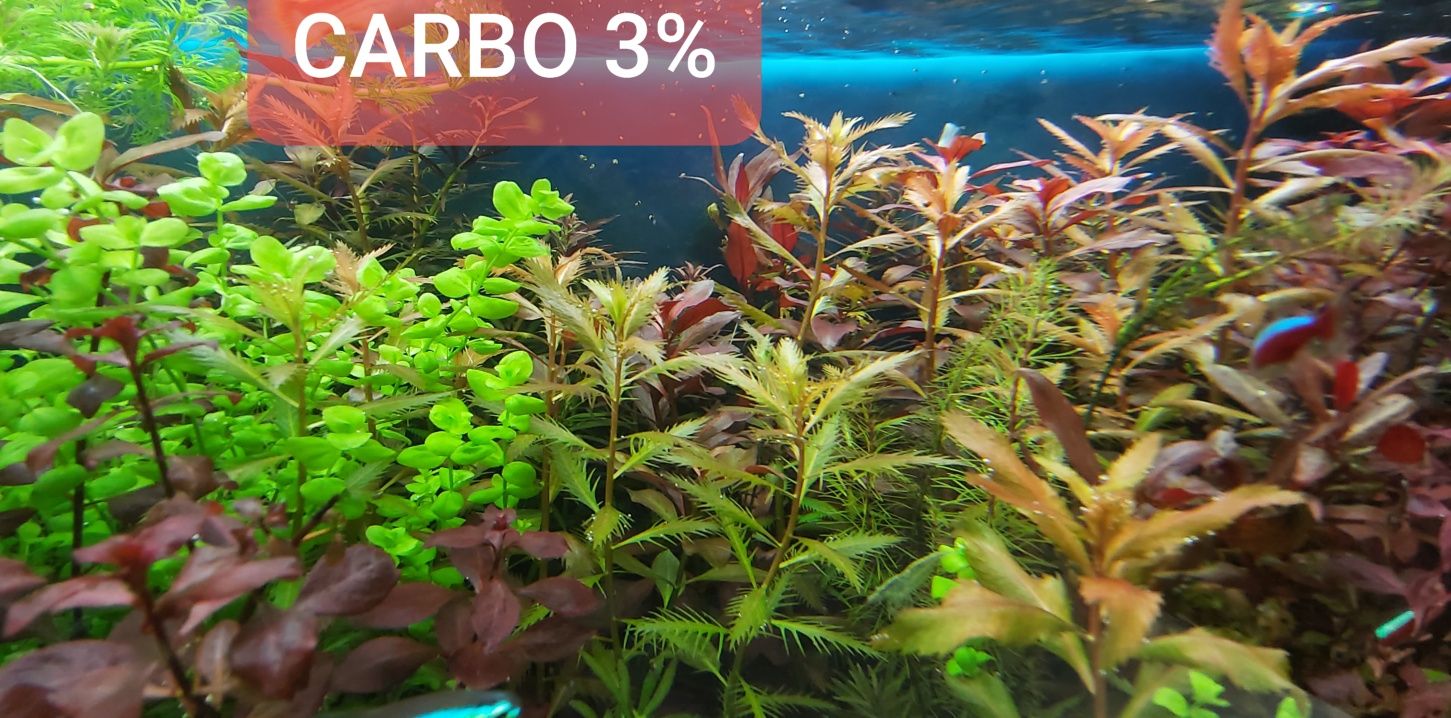 Carbo 1 litr wegiel w plynie nawoz rosliny akwariowe