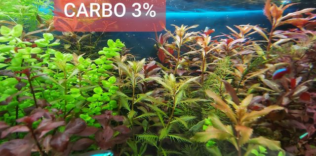 Carbo 1 litr wegiel w plynie nawoz rosliny akwariowe