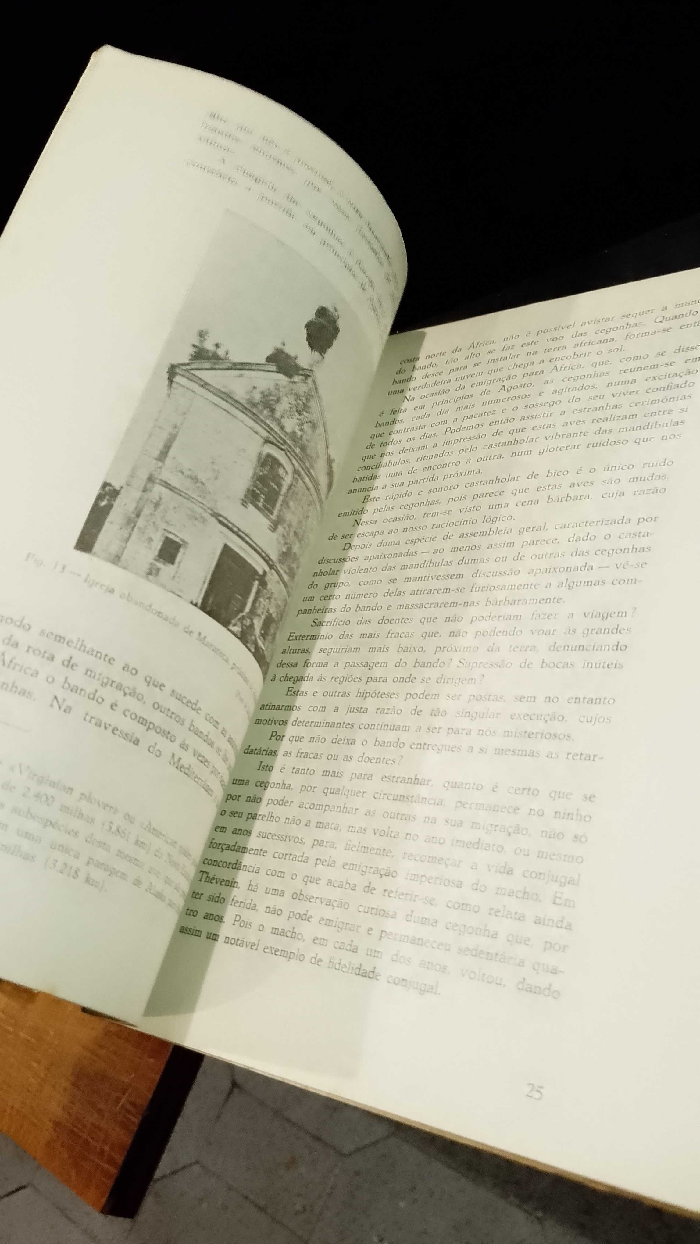 A Cegonha Branca (Notas de Etologia) - J. R. dos Santos Júnior