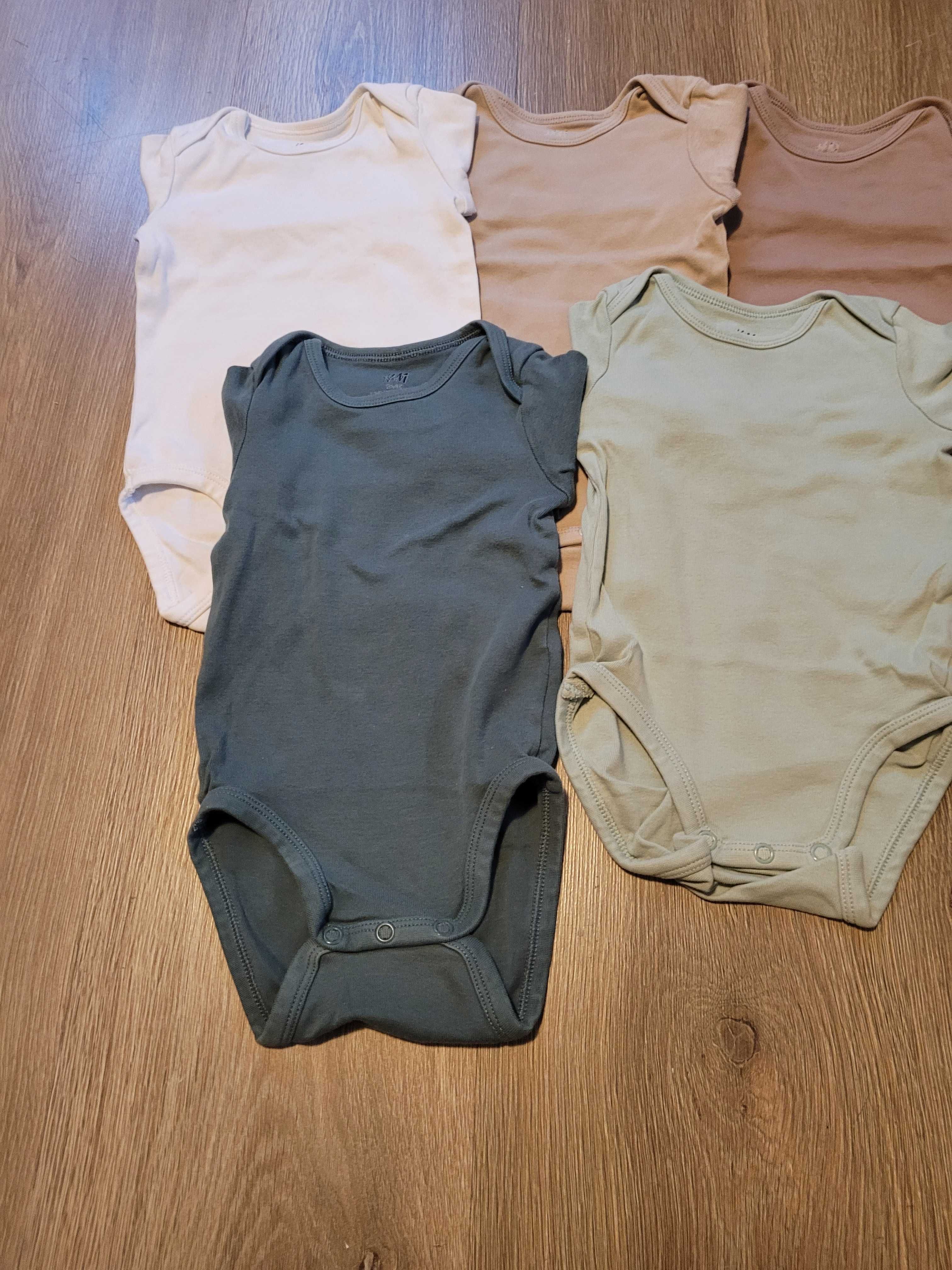 Body 5 szt długi rękaw r 74