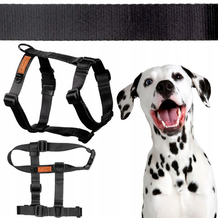 szelki guard dla średniej wielkości psa m 20 mm  corgi border jamnik