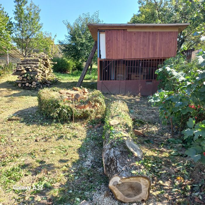 Вирізка дерев та чистка території від чагарнику!