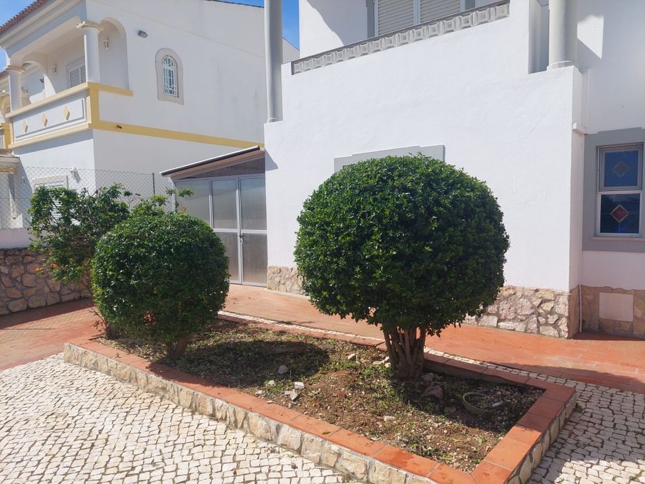 Manutenção de jardins e limpezas de terrenos