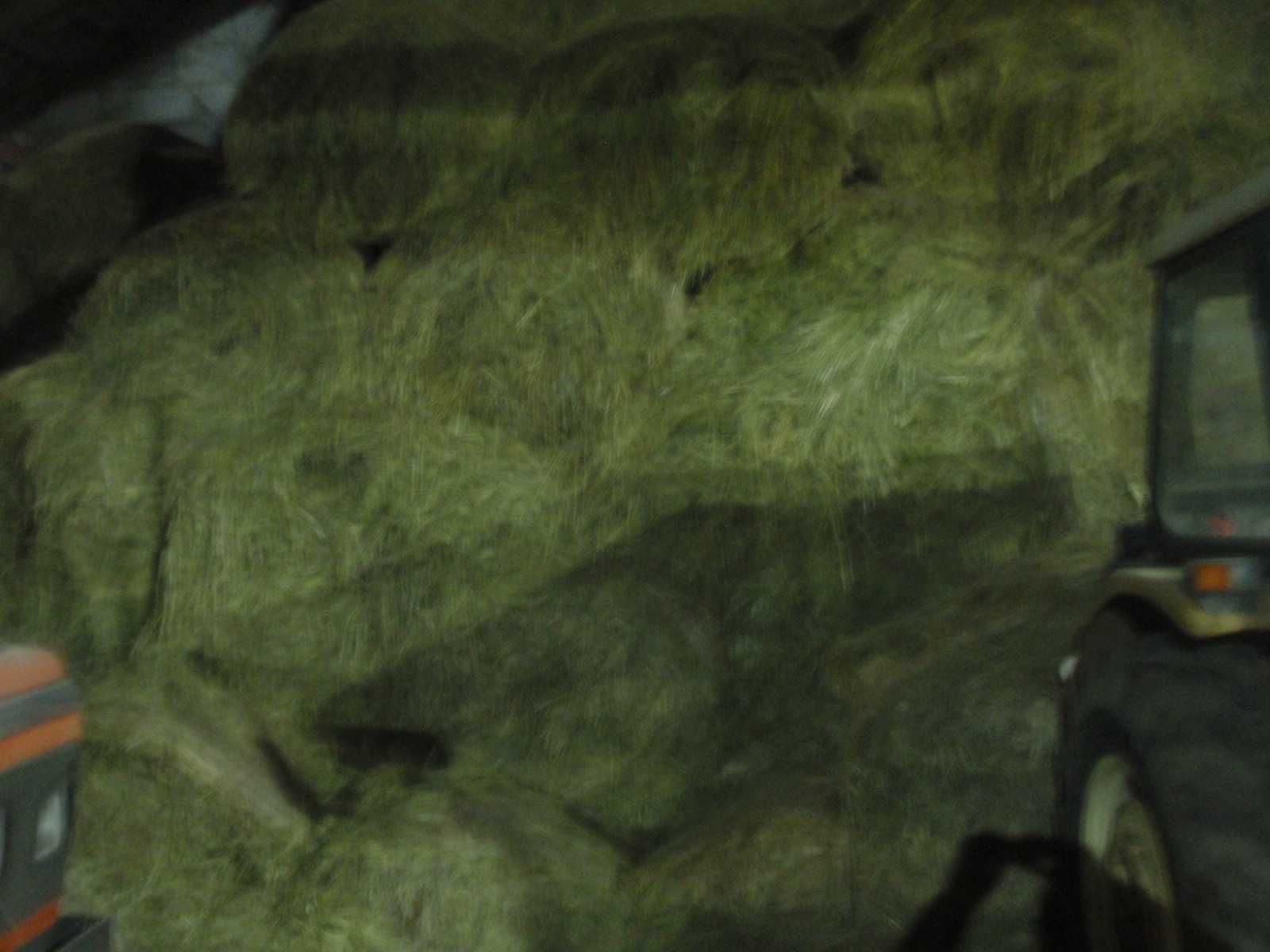 Siano, Słoma bale baloty dobrej jakości pod dachem załadunek transport