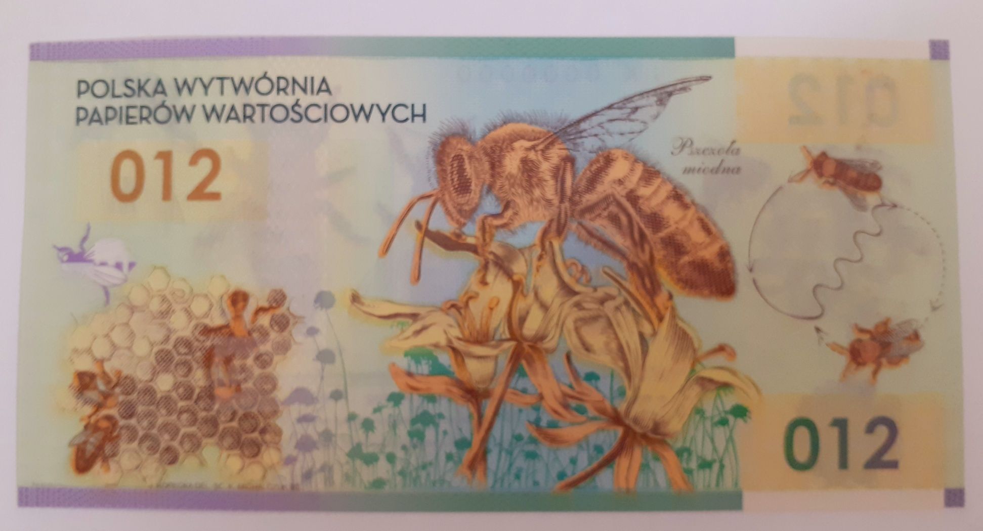 Banknot testowy PWPW "Pszczoły"  - polimer Stan UNC