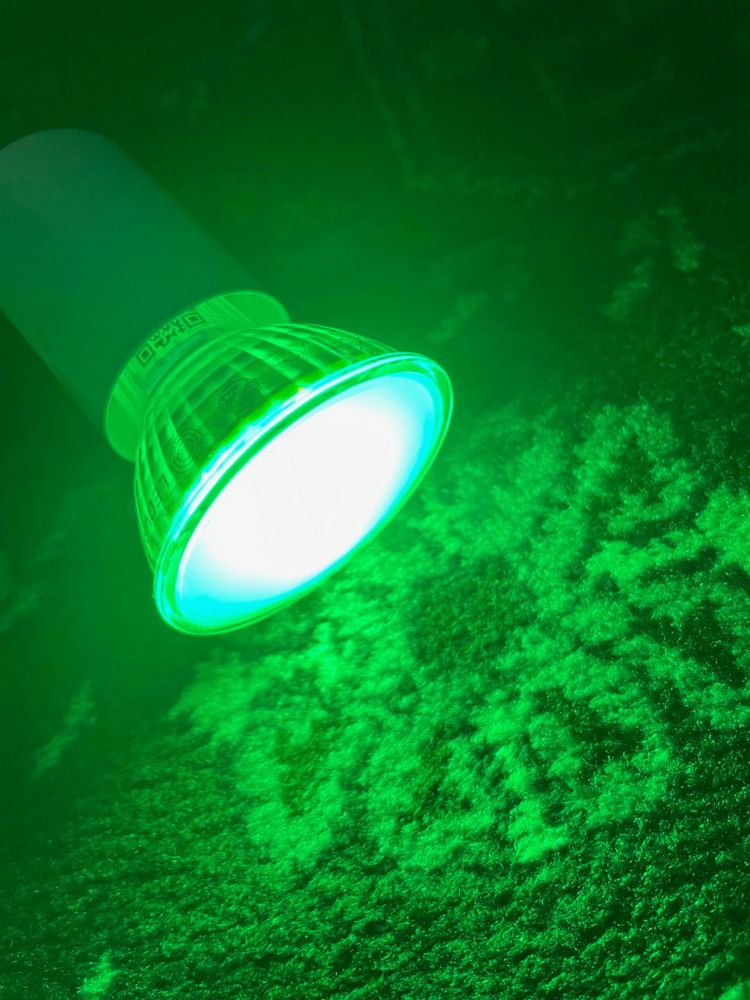 6 halogenów Ledvance GU10 Smart+ RGBW HUE ZIGBEE