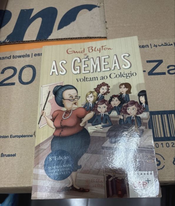 Livro: as gémeas voltam ao colégio