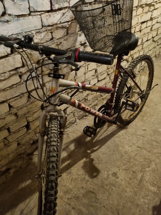 Rower Power z koszykiem