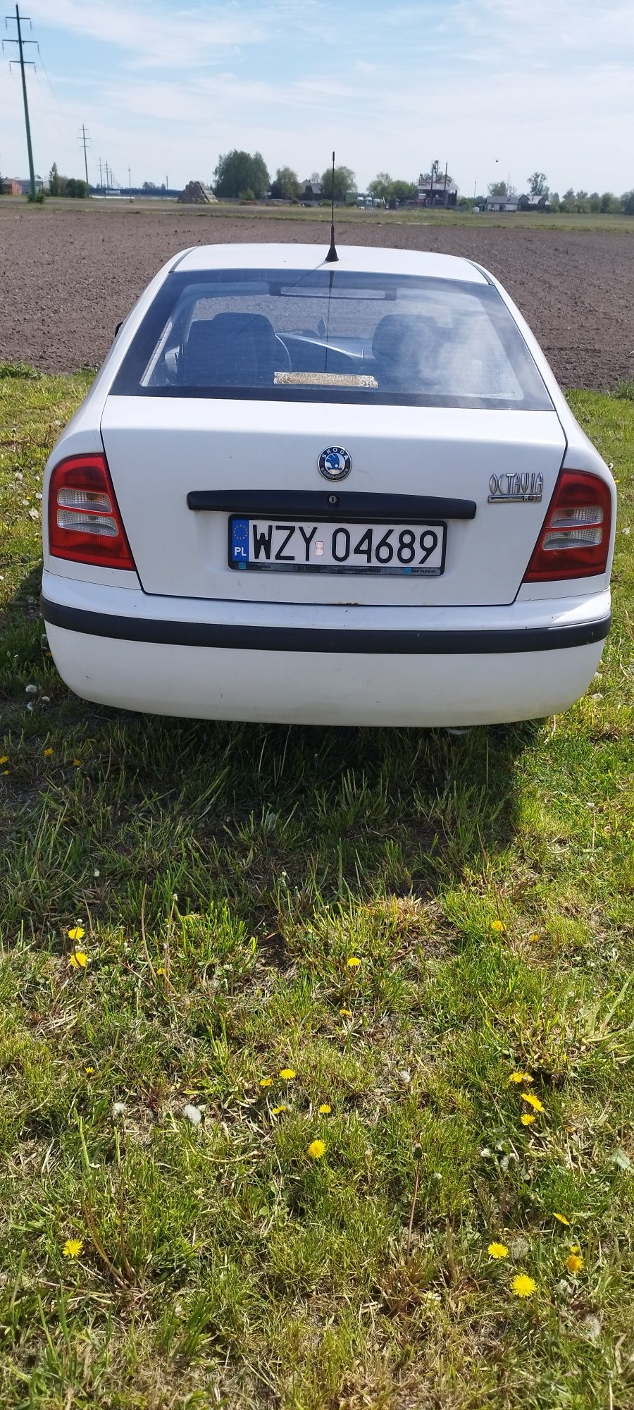 Samochód osobowy Skoda Octavia