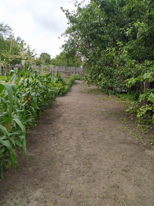 Участие город Шостка