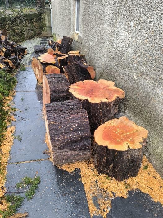 Vendo lenha de cedro