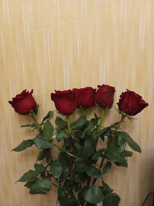 Благаю про допомогу