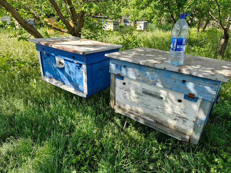 Продам вулики лежаки б/в